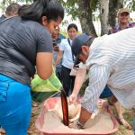 INTA lanza nuevas prácticas para mejorar nutrición del ganado bovino Foto:INTA lanza nuevas prácticas para mejorar nutrición del ganado bovino/Cortesía