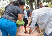 INTA lanza nuevas prácticas para mejorar nutrición del ganado bovino Foto:INTA lanza nuevas prácticas para mejorar nutrición del ganado bovino/Cortesía