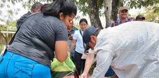 Foto:INTA lanza nuevas prácticas para mejorar nutrición del ganado bovino/Cortesía