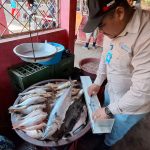 INPESCA ratifica su compromiso con el manejo responsable de los recursos marinos Foto: INPESCA impulsa el desarrollo sostenible de la pesca en el Caribe Norte/Cortesía