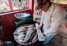 INPESCA ratifica su compromiso con el manejo responsable de los recursos marinos Foto: INPESCA impulsa el desarrollo sostenible de la pesca en el Caribe Norte/Cortesía