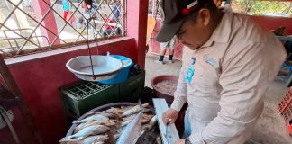 Foto: INPESCA impulsa el desarrollo sostenible de la pesca en el Caribe Norte/Cortesía