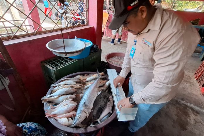 Foto: INPESCA impulsa el desarrollo sostenible de la pesca en el Caribe Norte/Cortesía Foto: INPESCA impulsa el desarrollo sostenible de la pesca en el Caribe Norte/Cortesía