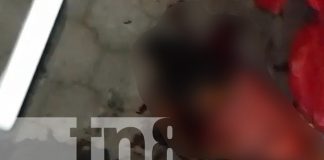 Foto: Tragedia en Managua: Joven pierde la vida tras riña en Reparto Shick/TN8