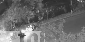 Foto:Asalto callejero termina en muerte trágica/Cortesía