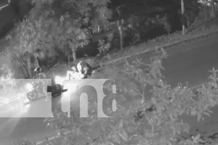 Foto:Asalto callejero termina en muerte trágica/Cortesía