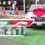 ¡Puma Energy premia tu fidelidad con motos y vehículos nuevos! Foto: Puma Energy conecta con sus clientes /TN8