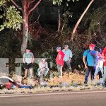 Toro muere tras cruzarse en el camino de furgón en movimiento Foto:Toro muere tras caer de camión y ser impactado por furgón/TN8