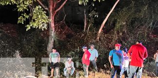 Foto:Toro muere tras caer de camión y ser impactado por furgón/TN8