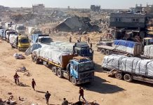 Foto: ONU logra llevar ayuda a Gaza /cortesía