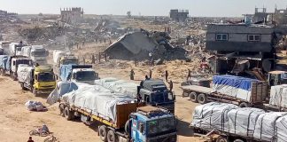 Foto: ONU logra llevar ayuda a Gaza /cortesía