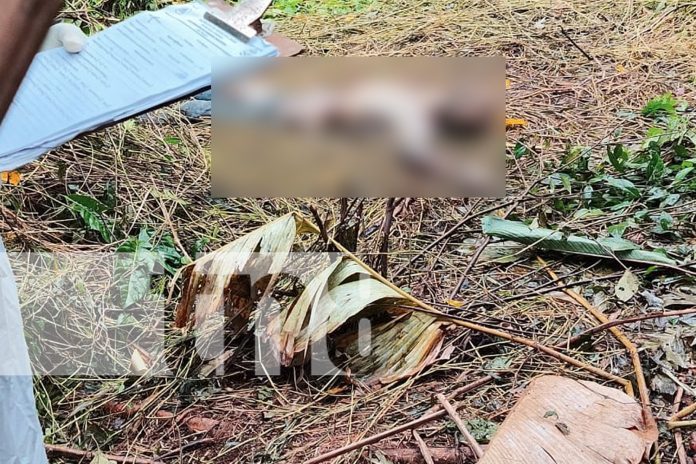 Foto: Zona rural de Fruta de Pan, escenario de trágico hallazgo/TN8