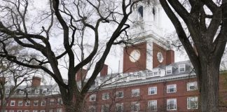 Foto: Trump arremete contra Harvard /cortesía
