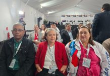 Nicaragua acompaña proceso electoral en Venezuela como observador internacional Foto: Nicaragua acompaña proceso electoral en Venezuela como observador internacional/TN8