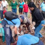 ¡Otra tragedia sacude Matagalpa! Accidente mortal deja cuatro fallecidos y varios heridos Foto: ¡Otra tragedia sacude Matagalpa! Accidente mortal deja cuatro fallecidos y varios heridos/TN8