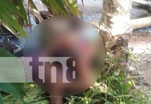 Foto: Un fallecido y cuatro desaparecidos en naufragio en Laguna de Perlas, Caribe Sur/TN8