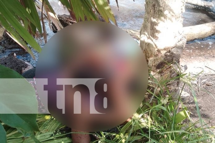Foto: Un fallecido y cuatro desaparecidos en naufragio en Laguna de Perlas, Caribe Sur/TN8