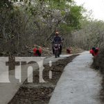 Foto: Alcaldía de Somoto continúa con mejoras en caminos /TN8