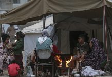 Foto: ONU denuncia genocidio infantil en Gaza /cortesía