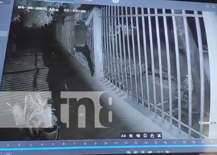 Foto: Robo en Managua /cortesía