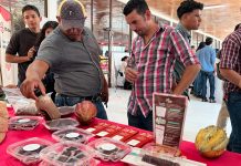 Arte, sabor y talento: Matagalpa vive el Festival Nacional Arte Latte