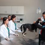 UNA fortalece la salud pública veterinaria con hospital abierto 24/7 Foto: Hospital Veterinario UNA supera las 2,800 consultas gratuitas/TN8