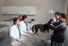 UNA fortalece la salud pública veterinaria con hospital abierto 24/7 Foto: Hospital Veterinario UNA supera las 2,800 consultas gratuitas/TN8