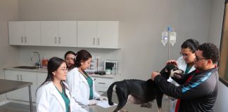 Foto: Hospital Veterinario UNA supera las 2,800 consultas gratuitas/TN8