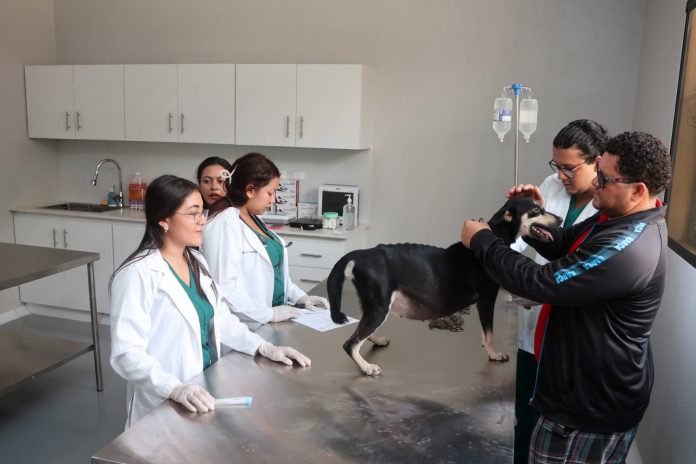 Foto: Hospital Veterinario UNA supera las 2,800 consultas gratuitas/TN8