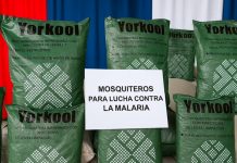 MINSA recibirá 95,600 mosquiteros para intensificar la lucha contra la malaria Foto: MINSA recibirá 95,600 mosquiteros para intensificar la lucha contra la malaria /Cortesía