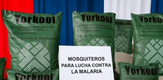 Foto: MINSA recibirá 95,600 mosquiteros para intensificar la lucha contra la malaria /Cortesía