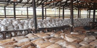 Foto: MARENA), realizó una visita de seguimiento a la empresa Export S.A./Cortesía