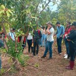 Capacitan a Más de 1,300 Jóvenes y Productores en Niquinohomo