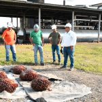 MARENA respalda buenas prácticas ambientales en PALCASA Foto: empresa Palmares del Castillo S.A. (PALCASA)/ Cortesía