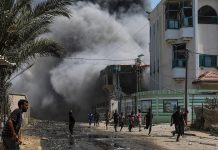 Masacre en Gaza: Bombardeo israelí deja 30 muertos y decenas de heridos Foto: Bombardeo a escuela en Gaza deja al menos 30 muertos /Cortesía