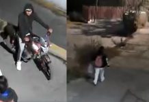 ¿Valiente o imprudente? Mujer enfrenta a descarados ladrones (VIDEO) Foto: Mujer logró frustrar un intento de asalto /Cortesía