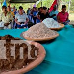 INTA impulsa a ganaderos de Matagalpa con nueva alternativa alimenticia Foto: INTA mejora la productividad ganadera /TN8