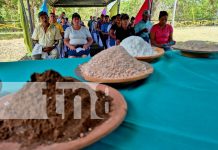 Foto: INTA mejora la productividad ganadera /TN8