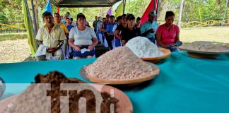 Foto: INTA mejora la productividad ganadera /TN8
