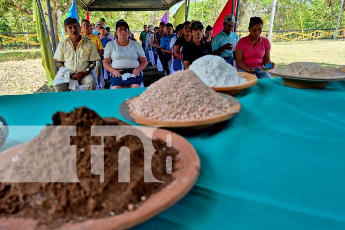 Foto: INTA mejora la productividad ganadera /TN8 Foto: INTA mejora la productividad ganadera /TN8
