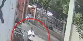 Foto: Arrollado por un cabezal en Colombia /Cortesía