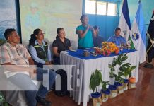 Foto: Ometepe lanzan diplomado en café sostenible y orgánico/TN8