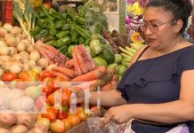 Foto: Monitoreo de precios de la canasta básica / TN8