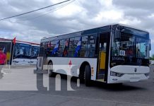 Foto: Nuevos buses para Managua y Nueva Guinea / TN8