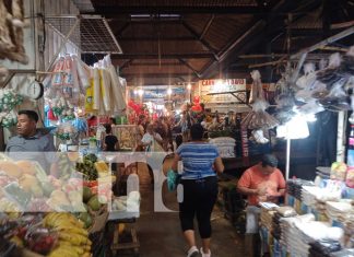 Mercados de Managua rumbo a 2026: inversión récord, modernización y retos estructurales Foto: Inversión para techos en el Mercado Roberto Huembes / TN8