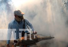 Foto: Fumigación y abatización en Managua / TN8