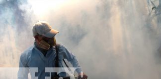 Foto: Fumigación y abatización en Managua / TN8