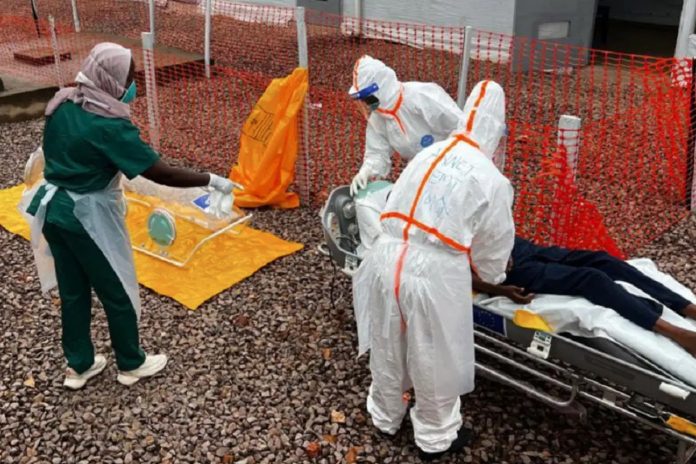 Foto: Brote de Cólera en Angola deja casi 600 fallecidos /Cortesía