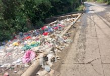 Denuncia en Managua: Descarga ilegal de basura y animales muertos en popular vía alterna Foto: Vertedero ilegal en Managua / TN8