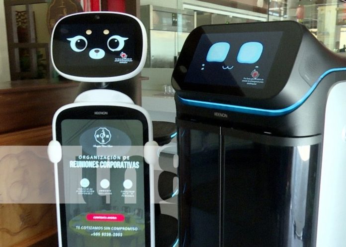 Foto: Robot en Shanghai Bistro, restaurante de comida china en Managua / TN8